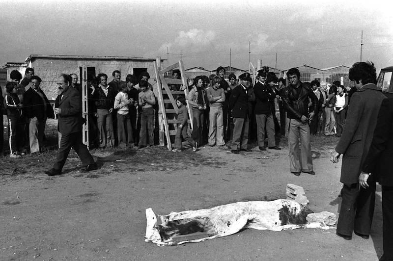 Il corpo di Pasolini ritrovato a Ostia.